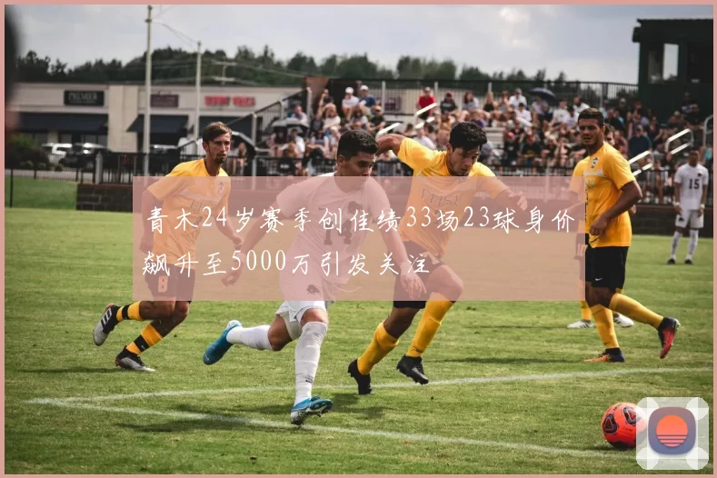 青木24岁赛季创佳绩33场23球身价飙升至5000万引发关注